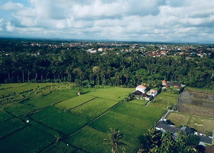 Villa Sari Padi House Ubud (Bali)